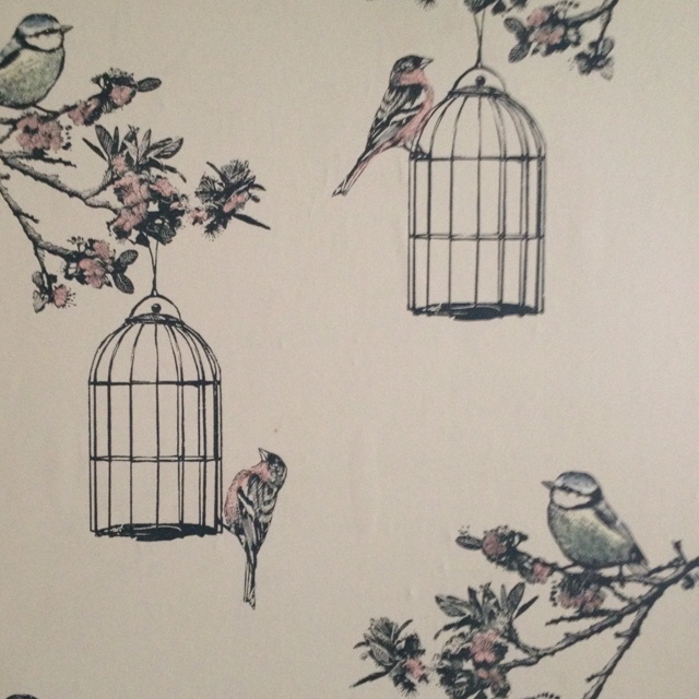 Download Free 100 + bird cage Wallpapers