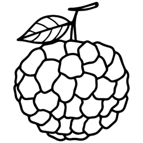 Fruits coloring pages printable for free download