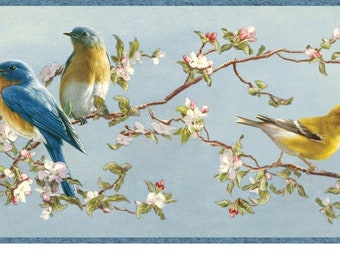 Download Free 100 + bird wallpaper border