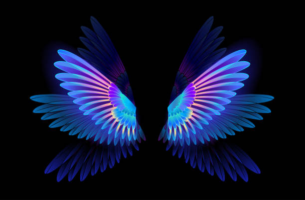 White Wings Wallpaper | Wings wallpaper, Cute black wallpaper, White  wallpaper