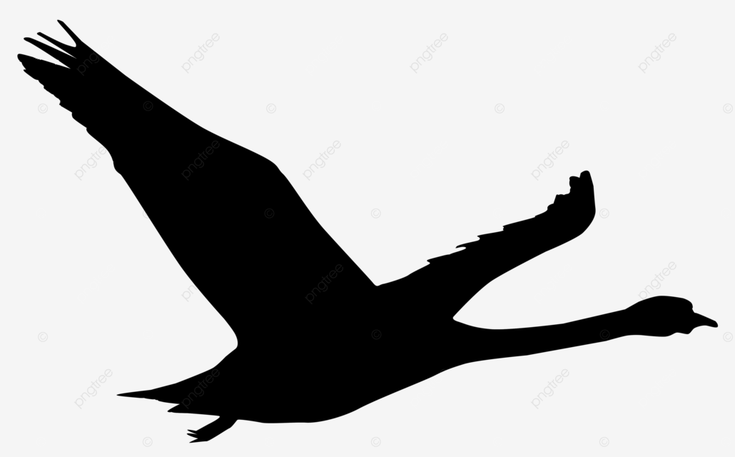 Swan outline flying swan flying vector illustration png transparent image and clipart for free download