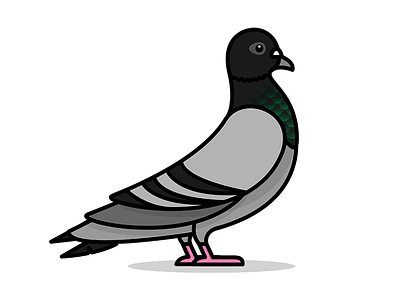 Pigeon designs themes templates and downloadable graphic elements on