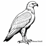 Red tailed hawk coloring pages