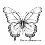 Butterfly coloring pages