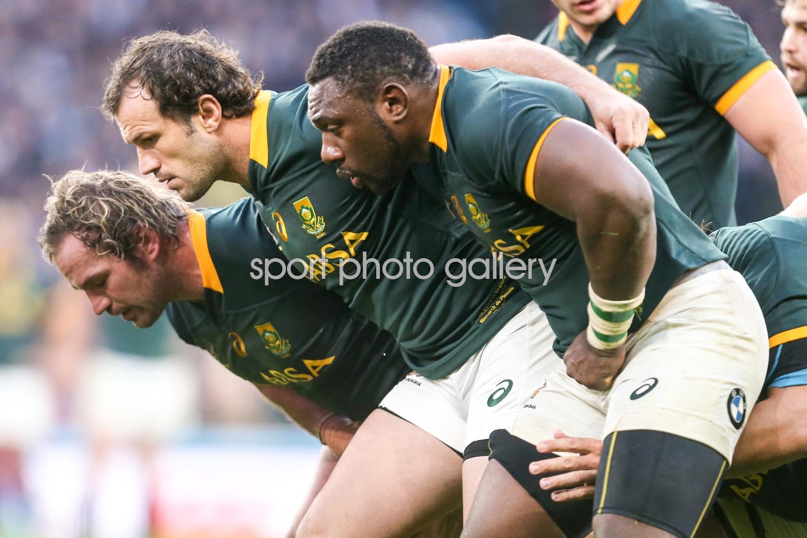 Jannie du plessis bismarck du plessis tendai mtawarira south africa front row images rugby posters