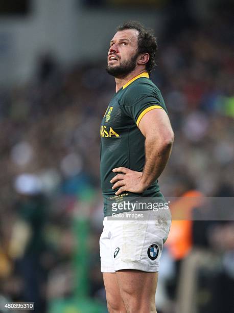 South african springbok bismarck du plessis photos and premium high res pictures