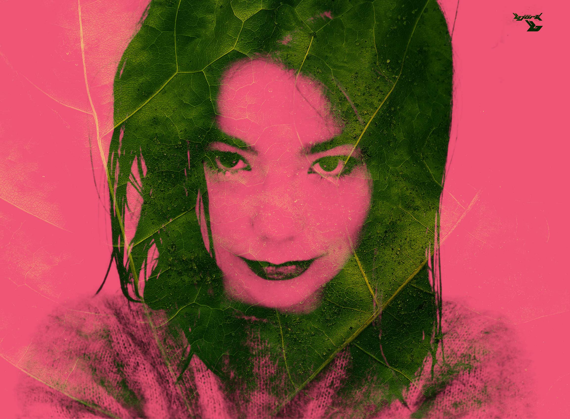 Bjork wallpaper by neee on