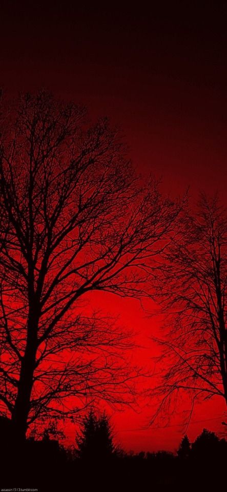 Dark red aesthetic on tumblr red aesthetic grunge dark red wallpaper dark red background