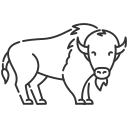 Bull icons symbols