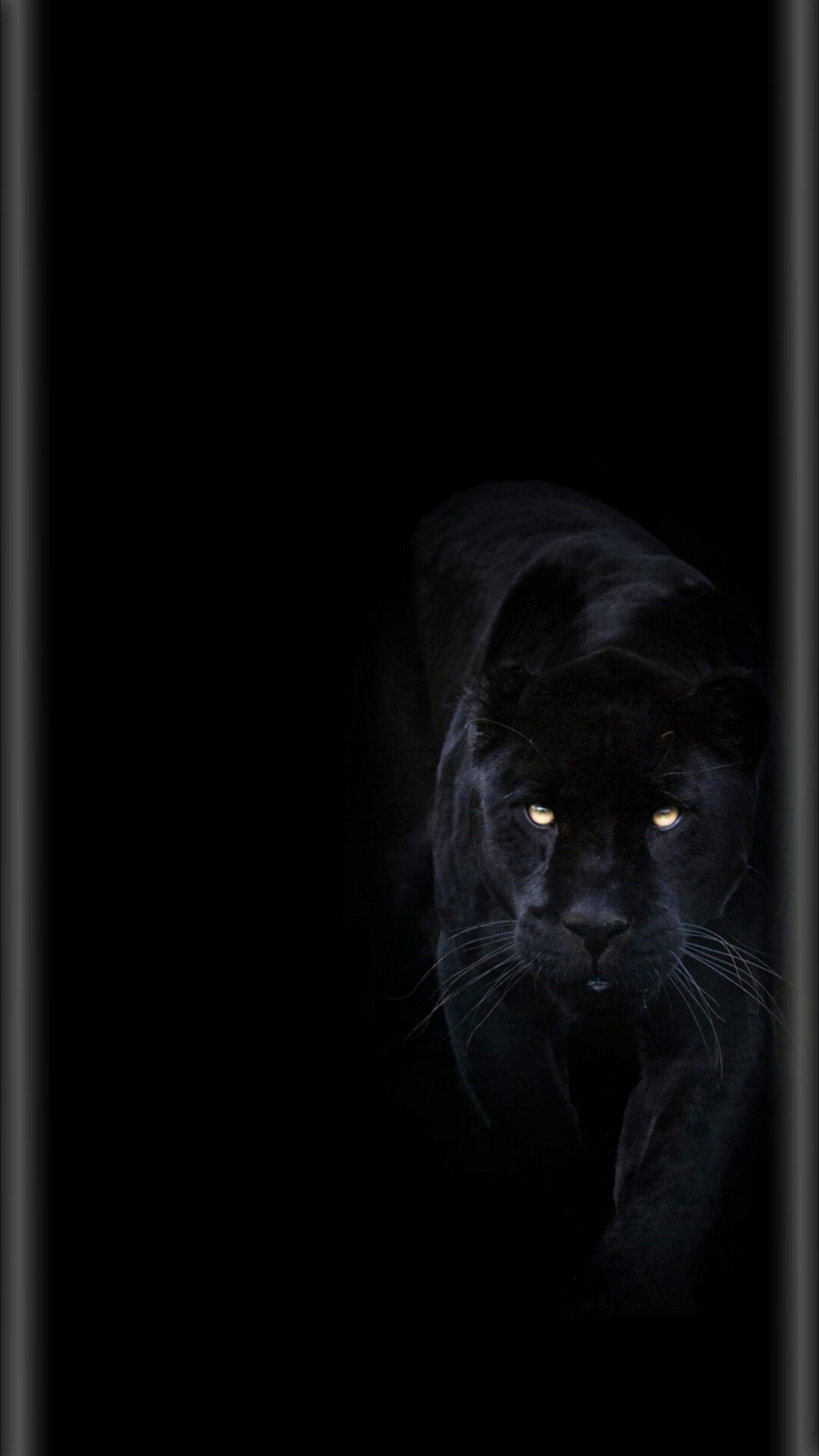 Pin by victorya on ððñððºð animal wallpaper cat wallpaper black phone wallpaper