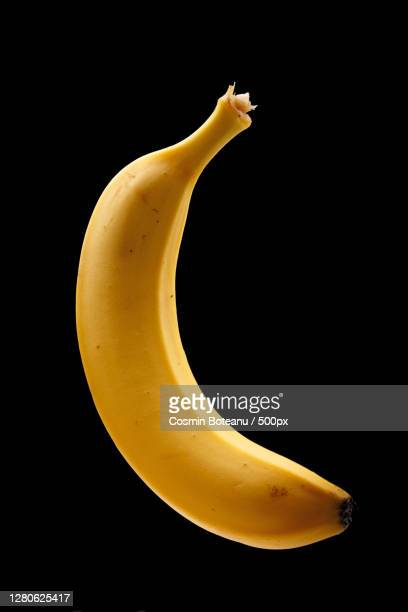 Download Free 100 + black bananas wallpaper