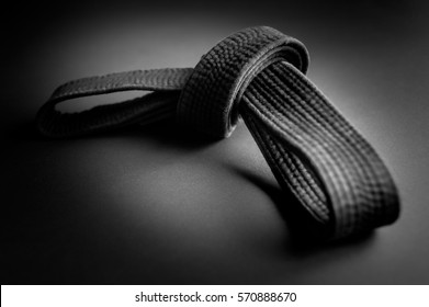 Black belt images stock photos vectors