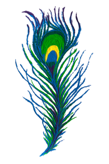 Peacock feather png transparent images free download vector files