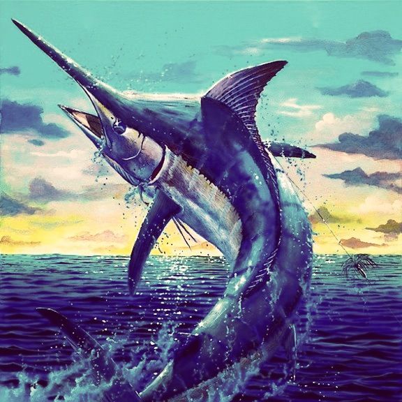 Black marlin fish painting fish art fish drawings