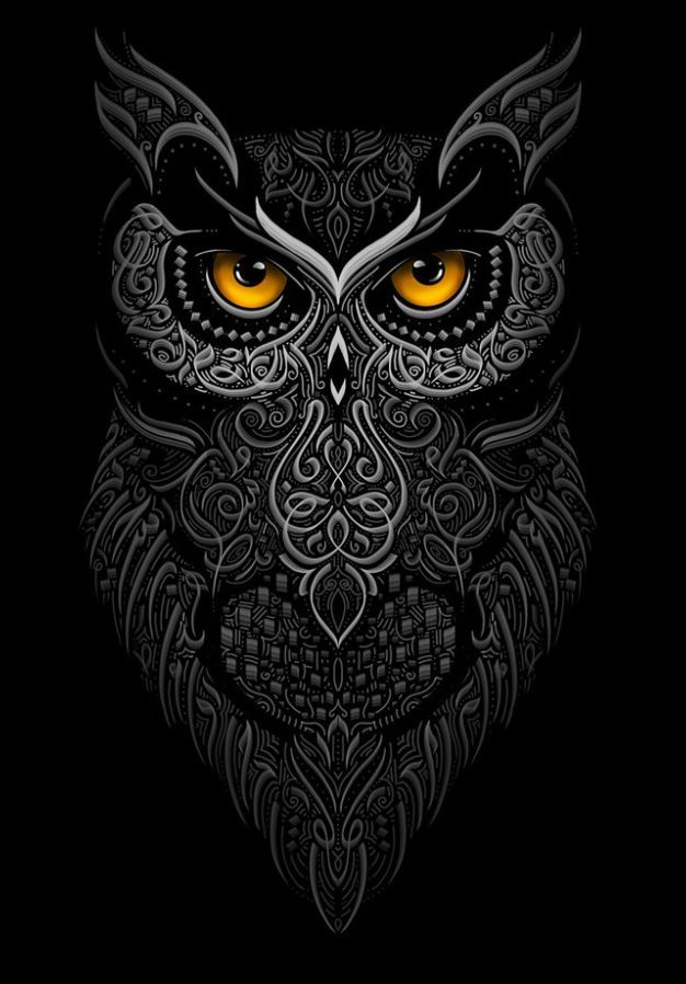 Owl modern arabic calligraphy by eje studio abstract art wallpaper owl owl wallpaper