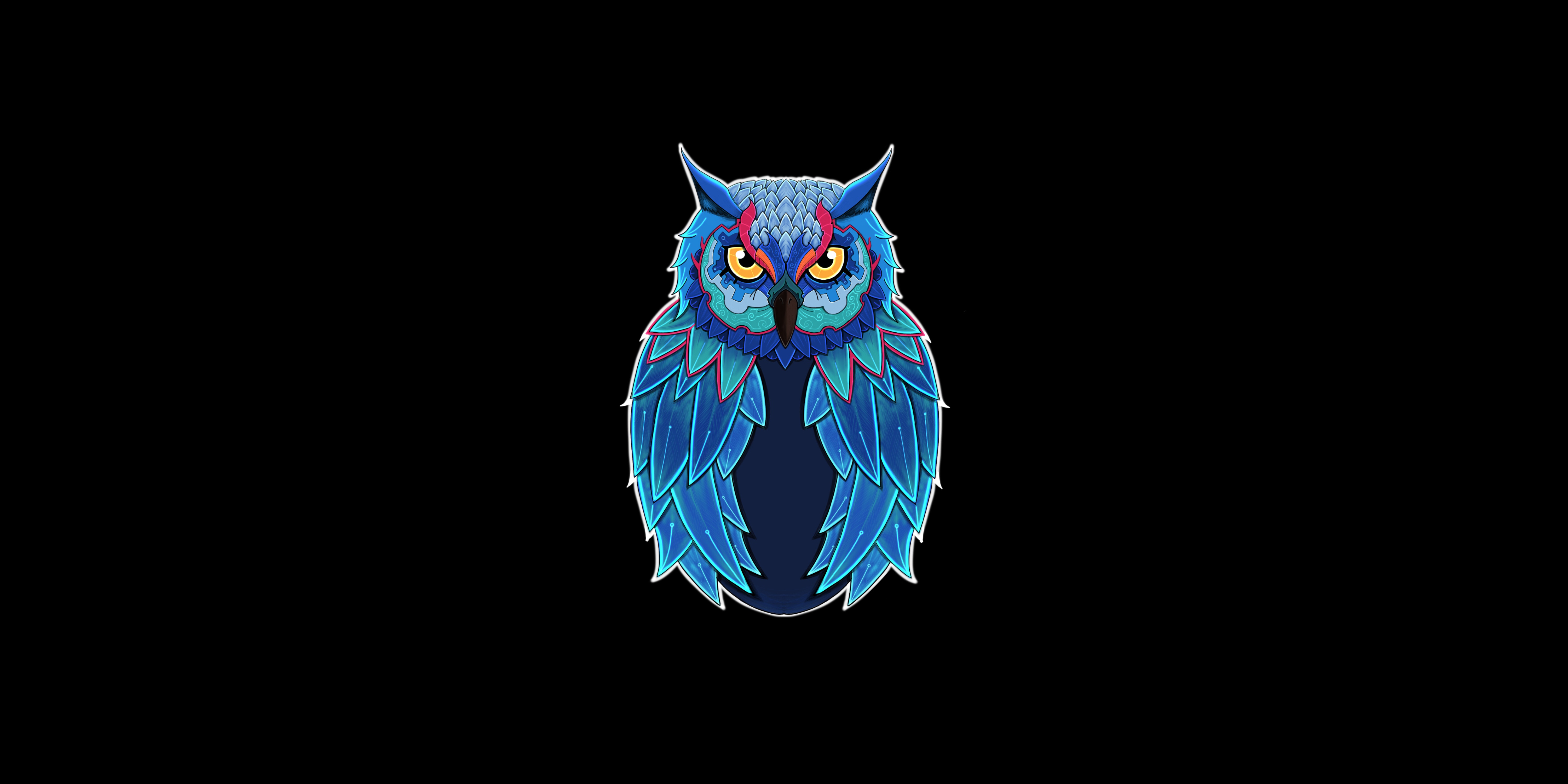 Owl dark k hd animals k wallpapers images backgrounds photos and pictures