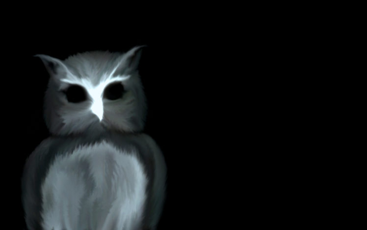 Dark owl wallpapers hd desktop and mobile backgrounds