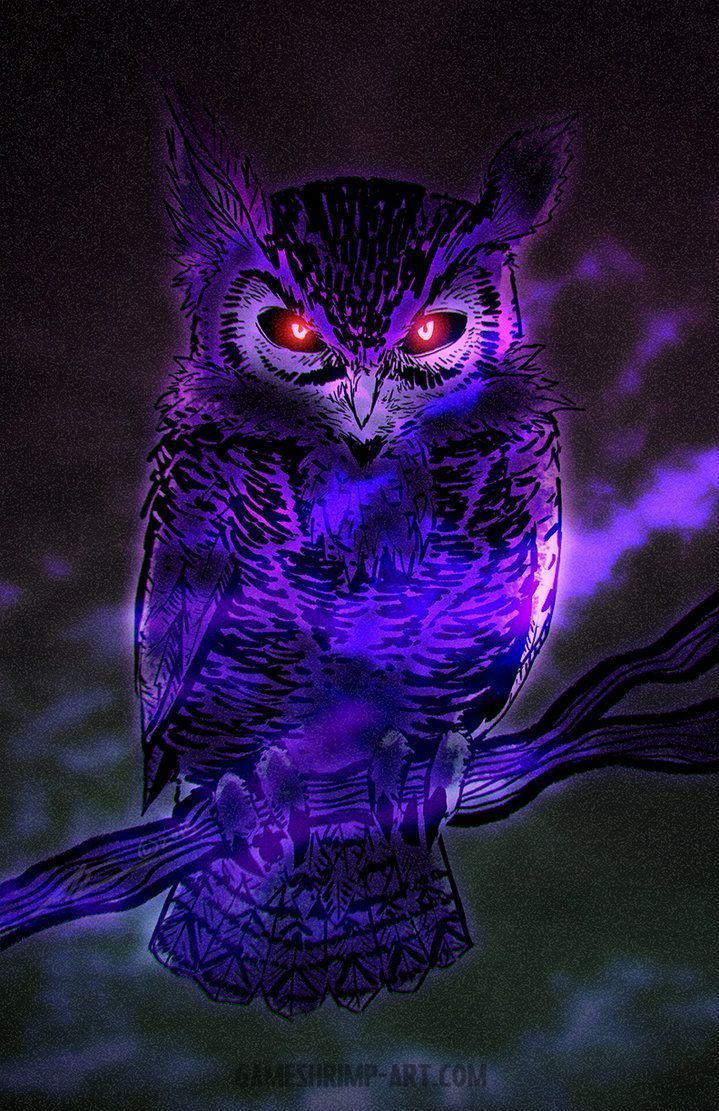 Night owl s on