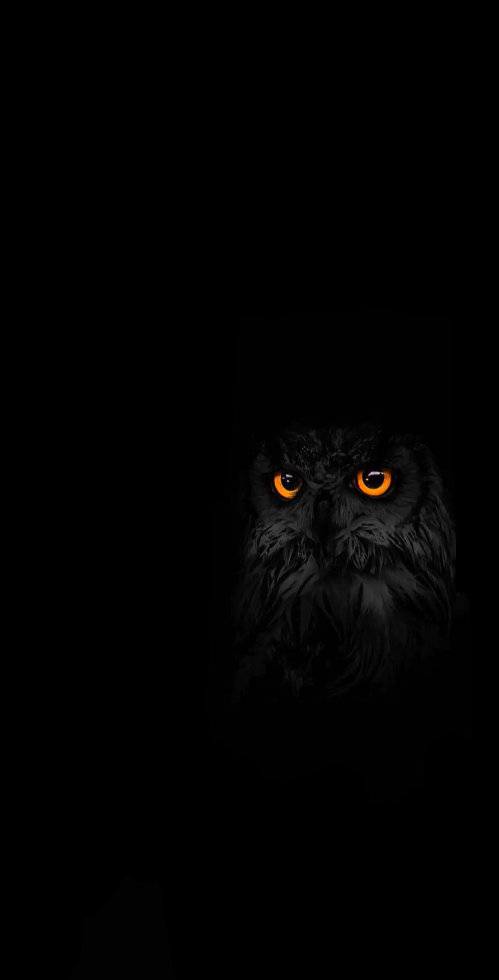 Mennyfox owl artwork owl wallpaper iphone owl wallpaper