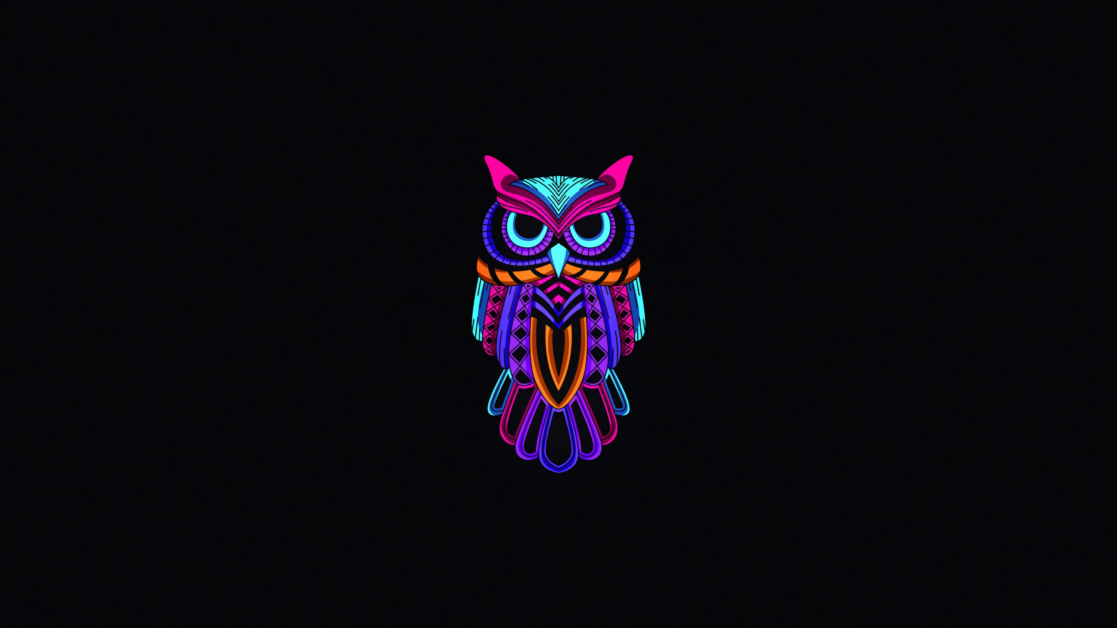 Owl minimal dark k hd artist k wallpapers images backgrounds photos and pictures