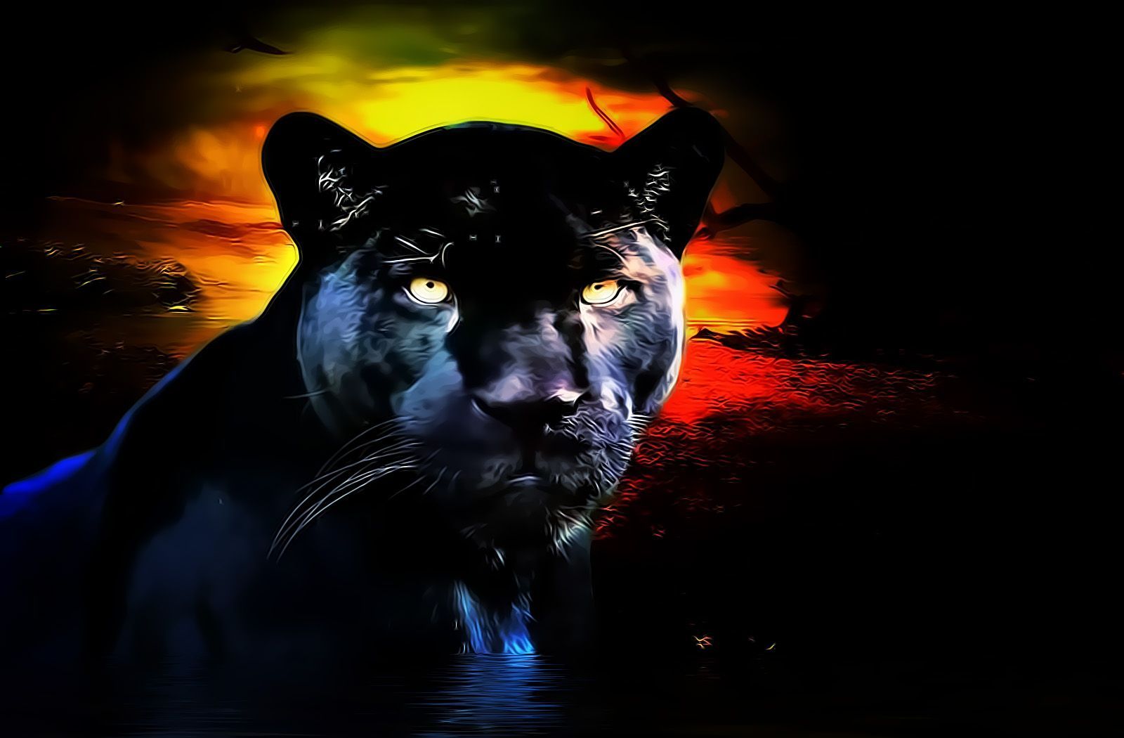 Download Free 100 + black panther big cat Wallpapers