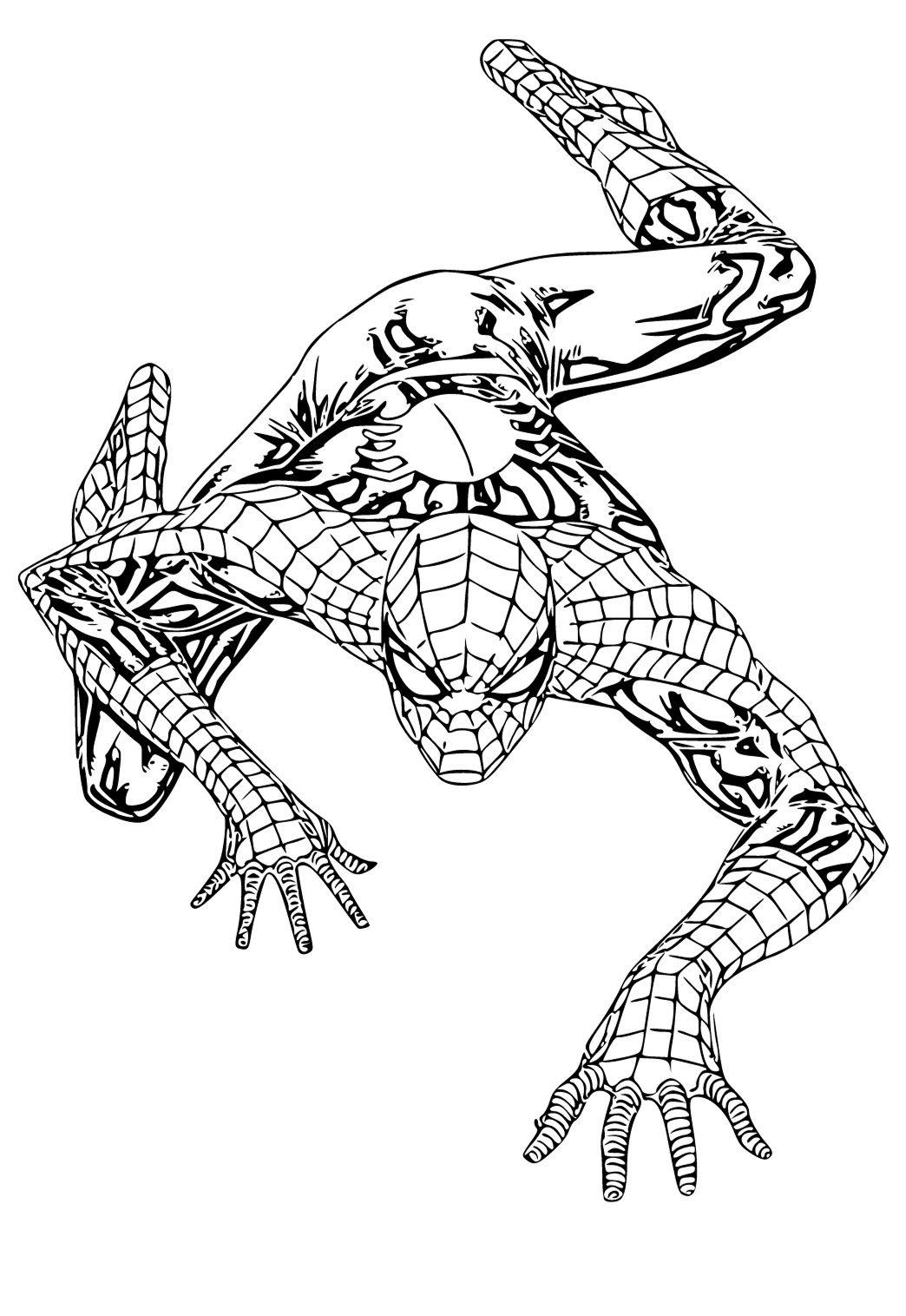 Free printable spiderman wallpaper coloring page for adults and kids