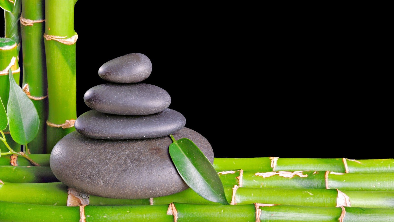 Zen bamboo leaf with black stone wallpapers wallpapers hd desktop and mobile backgrounds