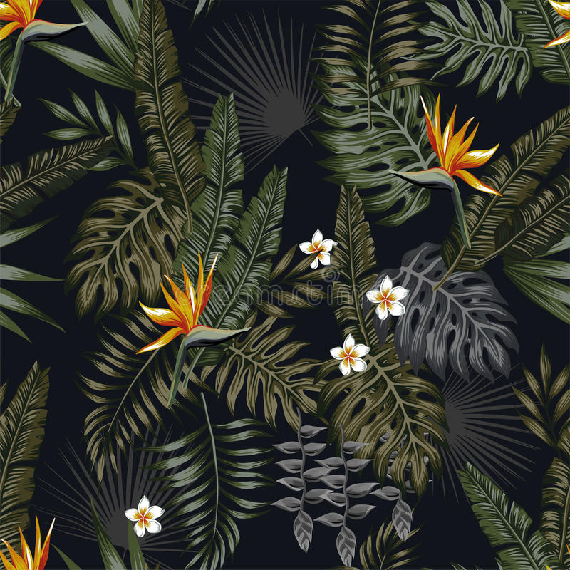 black tropical wallpaper