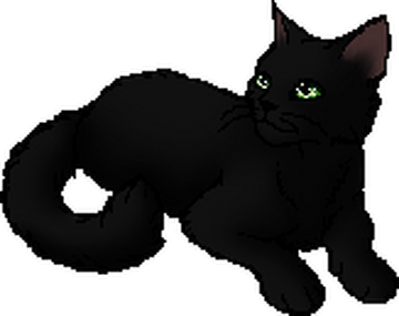 Hollyleaf wiki