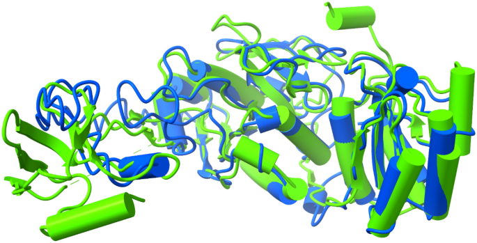 Unlocking the potential of marine asparaginase sources thalassas an international journal of marine sciences