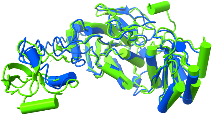 Unlocking the potential of marine asparaginase sources thalassas an international journal of marine sciences