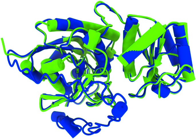 Unlocking the potential of marine asparaginase sources thalassas an international journal of marine sciences