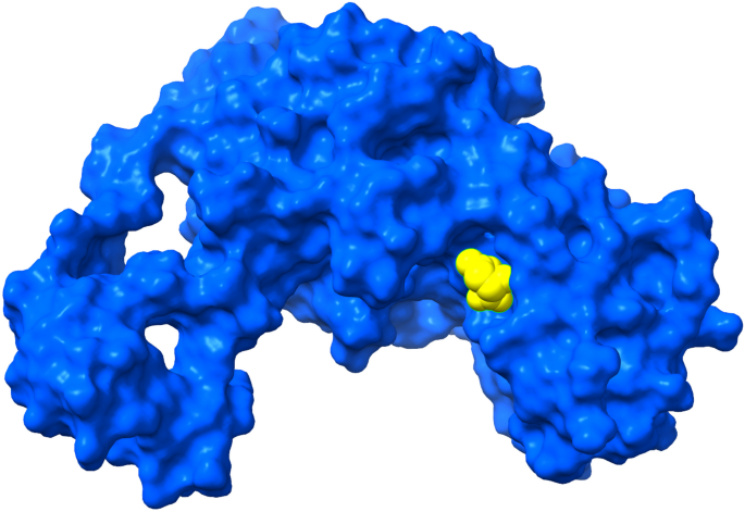 Unlocking the potential of marine asparaginase sources thalassas an international journal of marine sciences