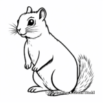 Squirrel coloring pages