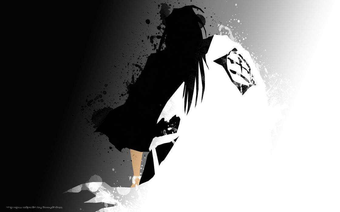 Bleach shinigami wallpaper x