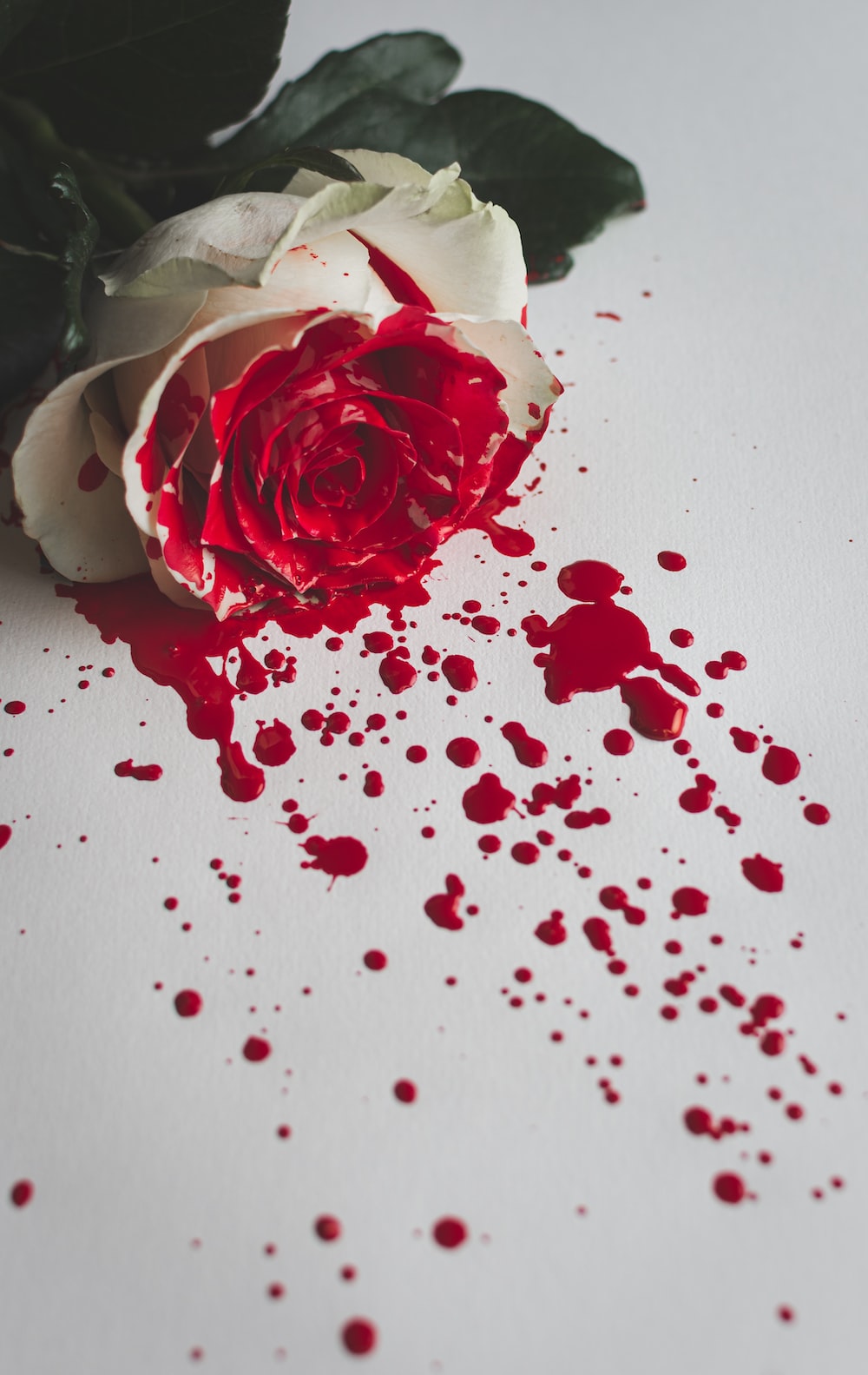 Best blood wallpapers download free images on