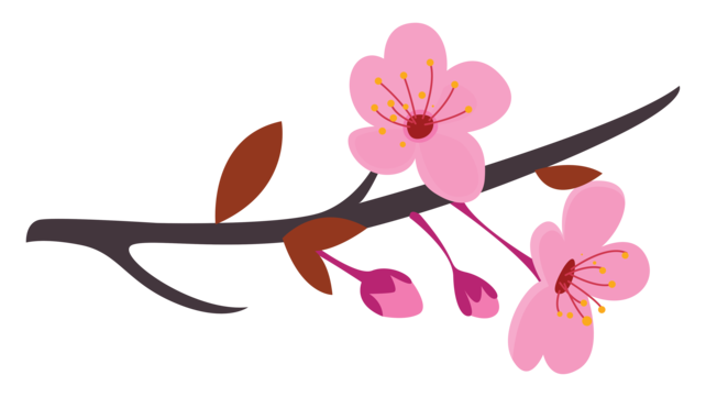 Sakura tree png transparent images free download vector files