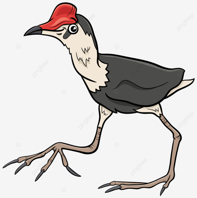 Funny animal character vector hd png images cartoon illustration of funny jacana bird animal character feathers bird clip png image for free download