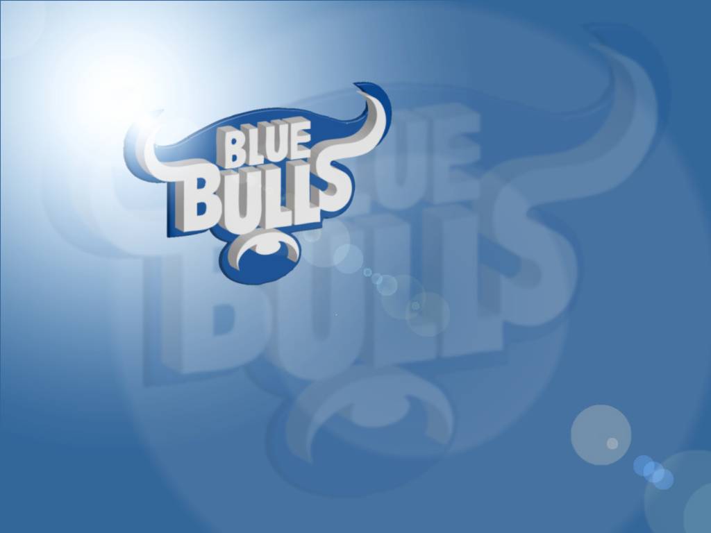 Blue bulls wallpapers