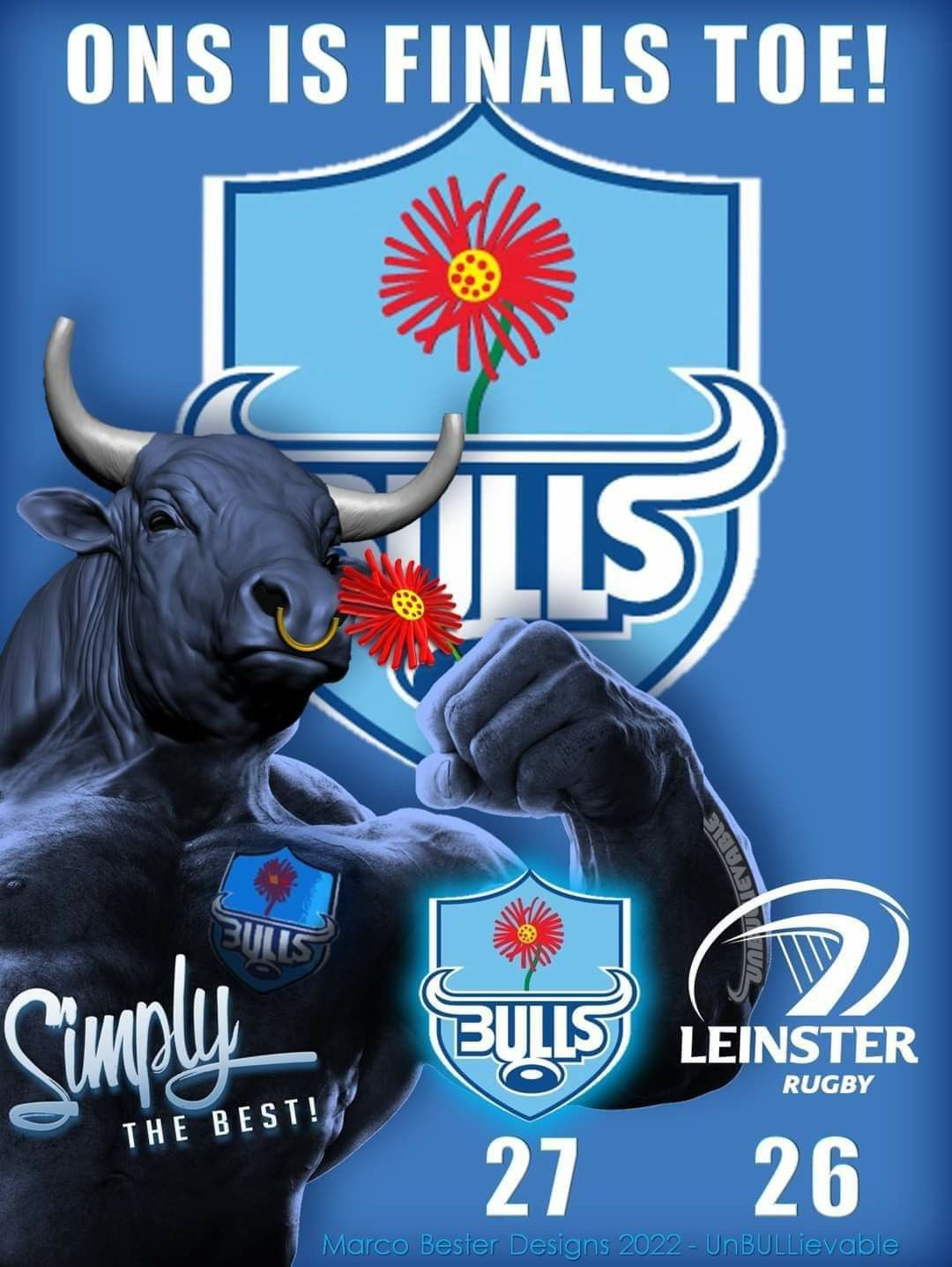 Blue bulls ideas in blue bull rugby team