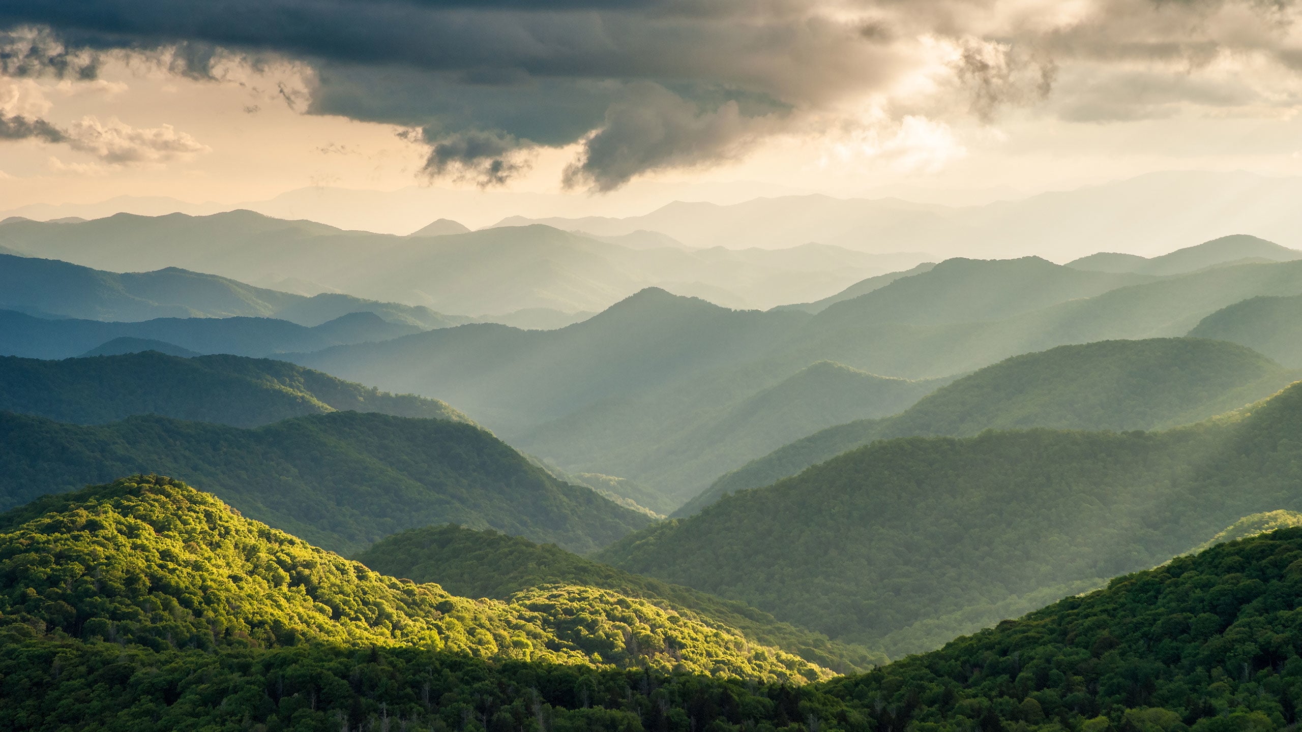 Revealed: What Makes the Blue Ridge Mountains BLUE