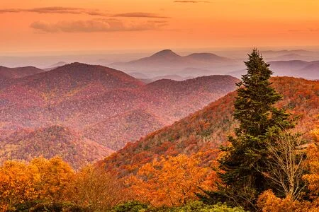 Revealed: What Makes the Blue Ridge Mountains BLUE