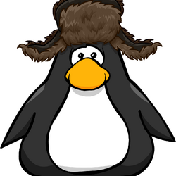 Categoryhead items club penguin wiki