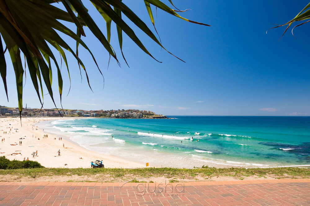 Download Free 100 + bondi beach Wallpapers