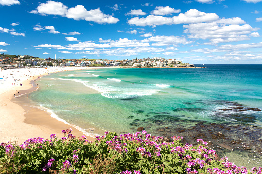 Bondi beach australia pictures hq download free images on