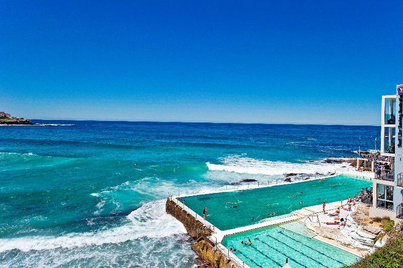 Bondi beach suburb profile