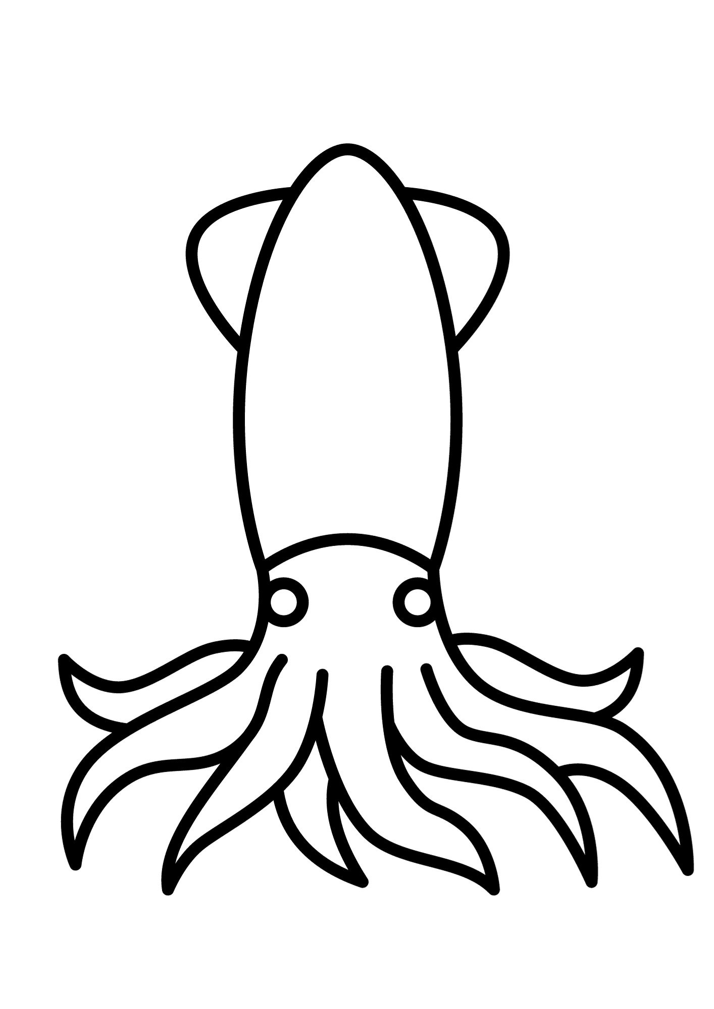 Squid image