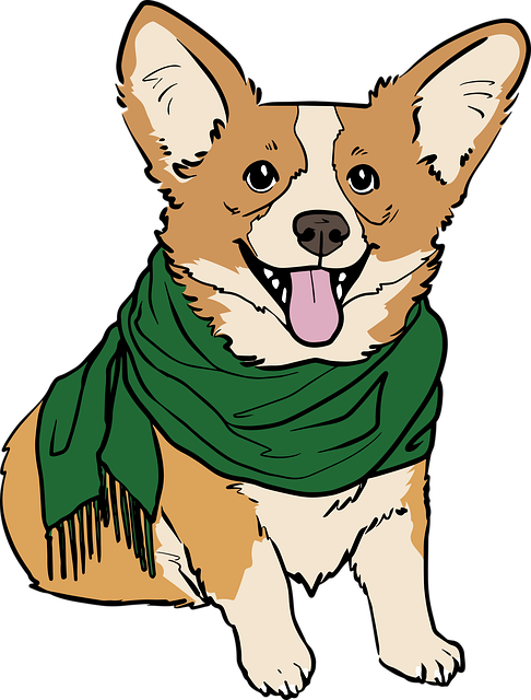 Free corgi dog images