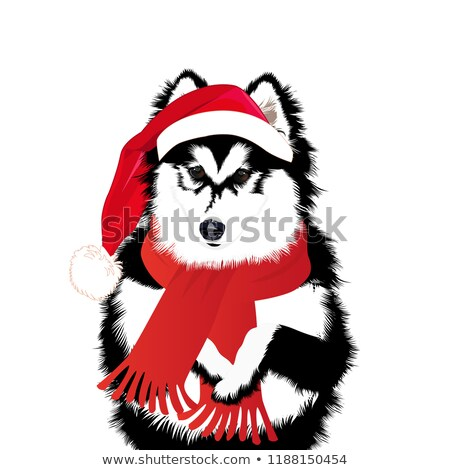 Dog a funny santas red cap vector illustration santa funny red cap funny dogs