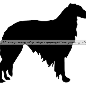 Borzoi png